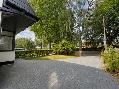 Picture 42